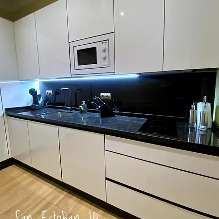 San Esteban 16 Ducal Apartment *