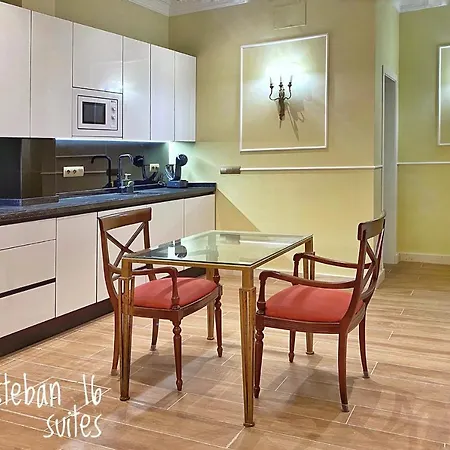 San Esteban 16 Ducal Apartment *